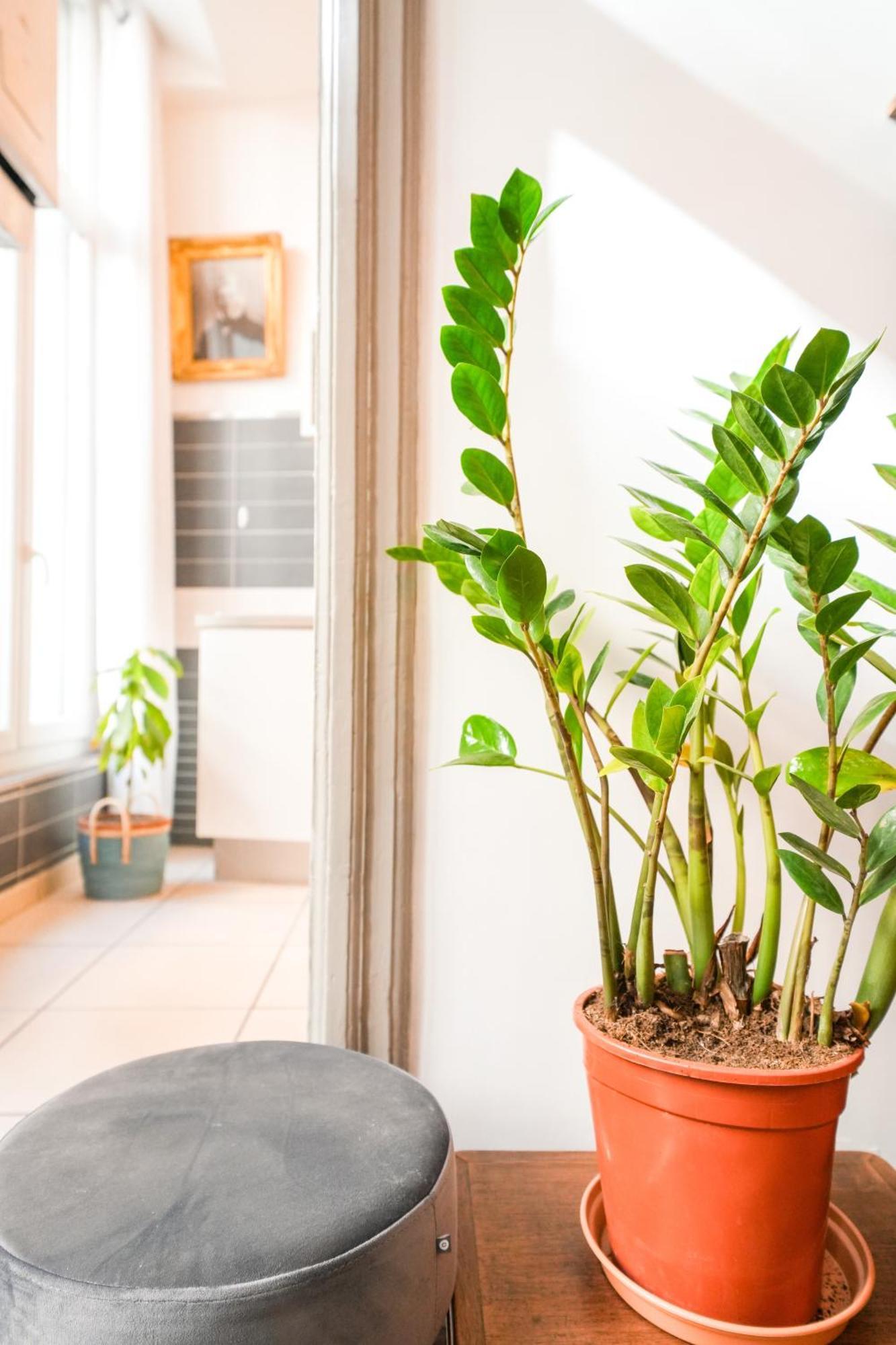 Appartement Le Boudoir, Spacieux T2, Centre Historique à Montpellier Extérieur photo